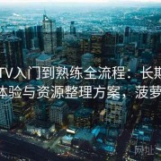 菠萝TV入门到熟练全流程：长期用户维护体验与资源整理方案，菠萝v1 v2