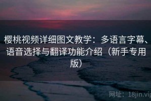 樱桃视频详细图文教学：多语言字幕、语音选择与翻译功能介绍（新手专用版）