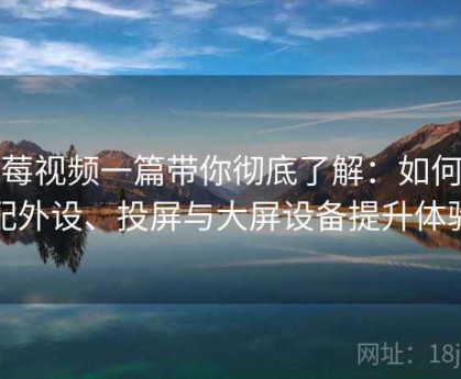 蓝莓视频一篇带你彻底了解：如何搭配外设、投屏与大屏设备提升体验