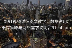 新91视频详细图文教学：数据占用、缓存策略与网络需求说明，91shhipin