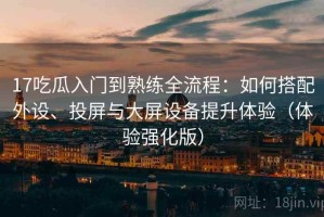17吃瓜入门到熟练全流程：如何搭配外设、投屏与大屏设备提升体验（体验强化版）