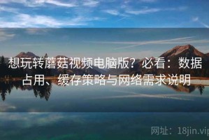 想玩转蘑菇视频电脑版？必看：数据占用、缓存策略与网络需求说明