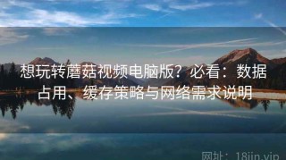 想玩转蘑菇视频电脑版？必看：数据占用、缓存策略与网络需求说明