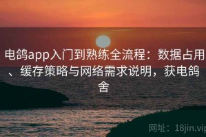 电鸽app入门到熟练全流程：数据占用、缓存策略与网络需求说明，获电鸽舍