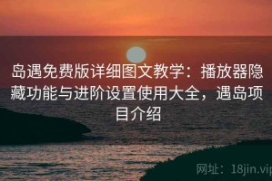 岛遇免费版详细图文教学：播放器隐藏功能与进阶设置使用大全，遇岛项目介绍