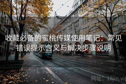 收藏必备的蜜桃传媒使用笔记：常见错误提示含义与解决步骤说明