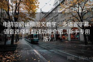 电鸽官网详细图文教学：多语言字幕、语音选择与翻译功能介绍（新手专用版）