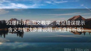 91爆料详细图文教学：常见错误提示含义与解决步骤说明（深度解析版）