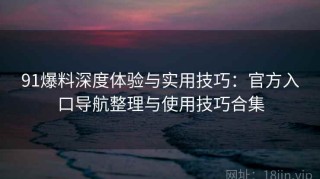 91爆料深度体验与实用技巧：官方入口导航整理与使用技巧合集