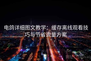 电鸽详细图文教学：缓存离线观看技巧与节省流量方案