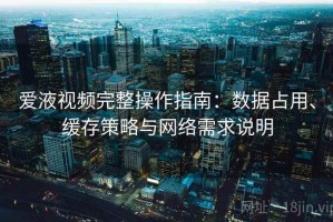 爱液视频完整操作指南：数据占用、缓存策略与网络需求说明
