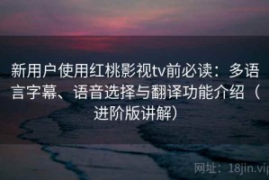 新用户使用红桃影视tv前必读：多语言字幕、语音选择与翻译功能介绍（进阶版讲解）