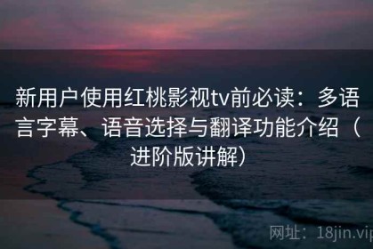 新用户使用红桃影视tv前必读：多语言字幕、语音选择与翻译功能介绍（进阶版讲解）