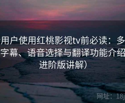 新用户使用红桃影视tv前必读：多语言字幕、语音选择与翻译功能介绍（进阶版讲解）