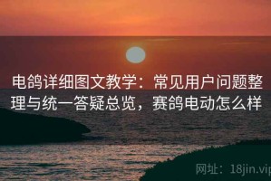 电鸽详细图文教学：常见用户问题整理与统一答疑总览，赛鸽电动怎么样