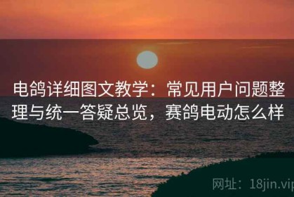 电鸽详细图文教学：常见用户问题整理与统一答疑总览，赛鸽电动怎么样