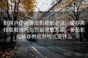 新用户使用番茄影视前必读：缓存离线观看技巧与节省流量方案，番茄影视缓存的视频格式是什么
