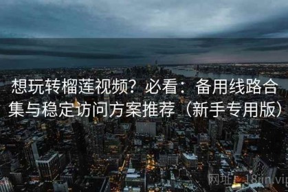 想玩转榴莲视频？必看：备用线路合集与稳定访问方案推荐（新手专用版）