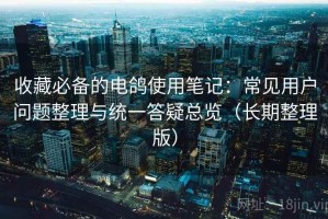 收藏必备的电鸽使用笔记：常见用户问题整理与统一答疑总览（长期整理版）