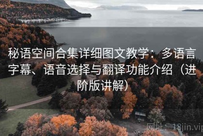 秘语空间合集详细图文教学：多语言字幕、语音选择与翻译功能介绍（进阶版讲解）