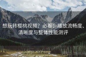 想玩转樱桃视频？必看：播放流畅度、清晰度与整体性能测评