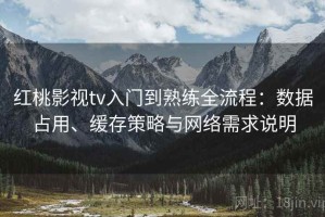 红桃影视tv入门到熟练全流程：数据占用、缓存策略与网络需求说明