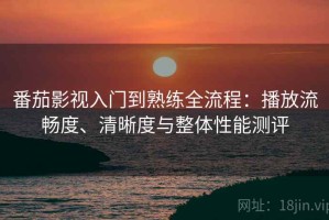 番茄影视入门到熟练全流程：播放流畅度、清晰度与整体性能测评