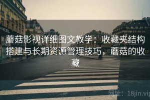 蘑菇影视详细图文教学：收藏夹结构搭建与长期资源管理技巧，蘑菇的收藏