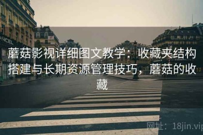 蘑菇影视详细图文教学：收藏夹结构搭建与长期资源管理技巧，蘑菇的收藏