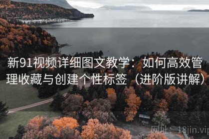 新91视频详细图文教学：如何高效管理收藏与创建个性标签（进阶版讲解）