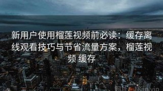 新用户使用榴莲视频前必读：缓存离线观看技巧与节省流量方案，榴莲视频 缓存