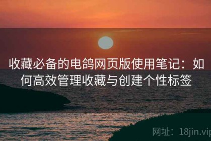 收藏必备的电鸽网页版使用笔记：如何高效管理收藏与创建个性标签
