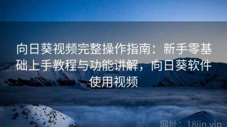 向日葵视频完整操作指南：新手零基础上手教程与功能讲解，向日葵软件使用视频
