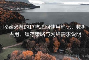 收藏必备的17吃瓜网使用笔记：数据占用、缓存策略与网络需求说明