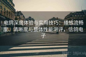 电鸽深度体验与实用技巧：播放流畅度、清晰度与整体性能测评，信鸽电子