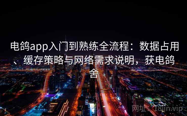 电鸽app入门到熟练全流程：数据占用、缓存策略与网络需求说明，获电鸽舍