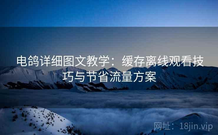 电鸽详细图文教学：缓存离线观看技巧与节省流量方案