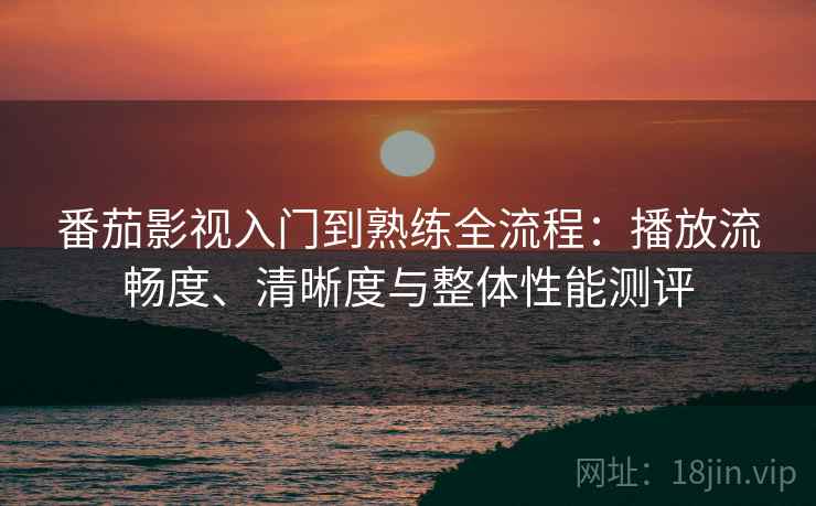 番茄影视入门到熟练全流程：播放流畅度、清晰度与整体性能测评