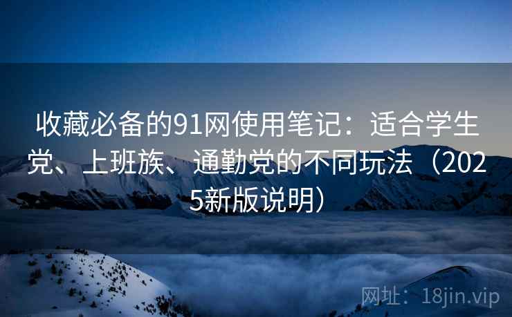 收藏必备的91网使用笔记：适合学生党、上班族、通勤党的不同玩法（2025新版说明）