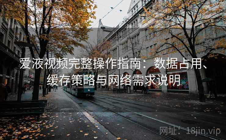 爱液视频完整操作指南：数据占用、缓存策略与网络需求说明