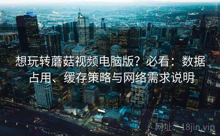 想玩转蘑菇视频电脑版？必看：数据占用、缓存策略与网络需求说明