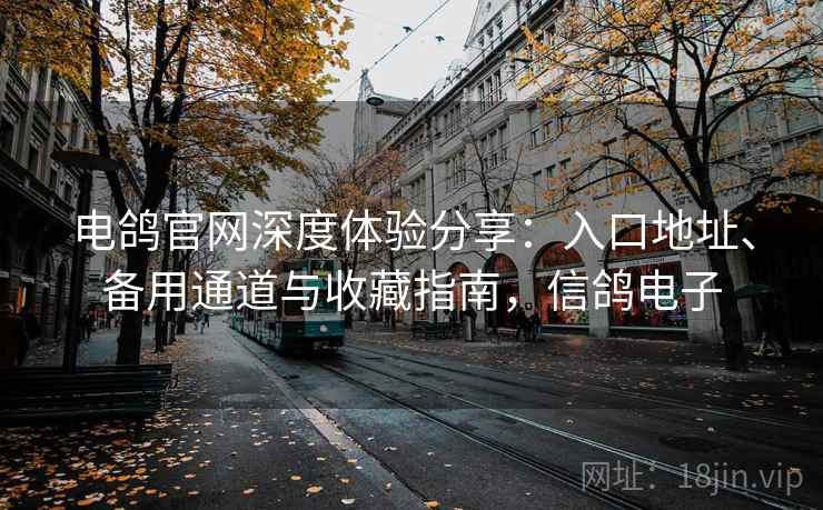 电鸽官网深度体验分享：入口地址、备用通道与收藏指南，信鸽电子