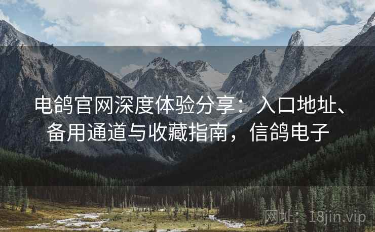 电鸽官网深度体验分享：入口地址、备用通道与收藏指南，信鸽电子
