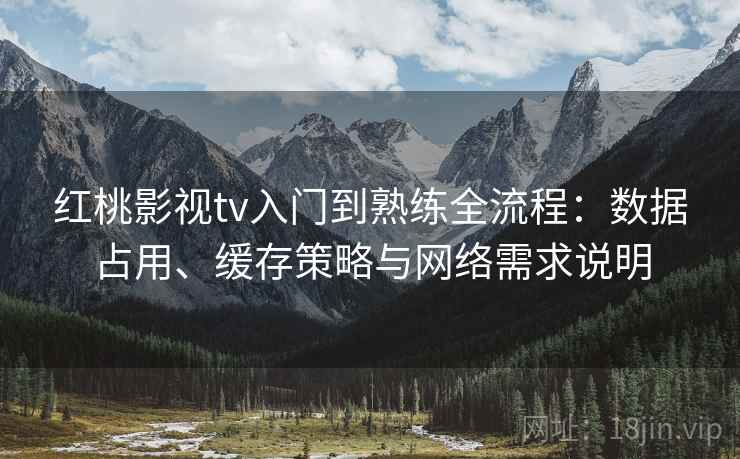 红桃影视tv入门到熟练全流程：数据占用、缓存策略与网络需求说明