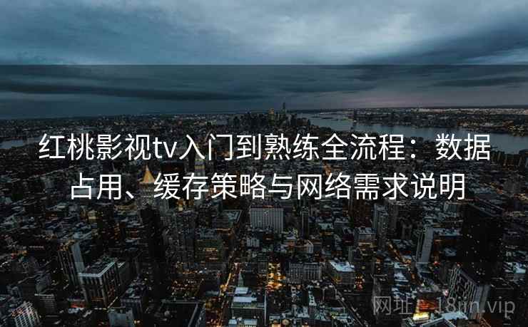红桃影视tv入门到熟练全流程：数据占用、缓存策略与网络需求说明