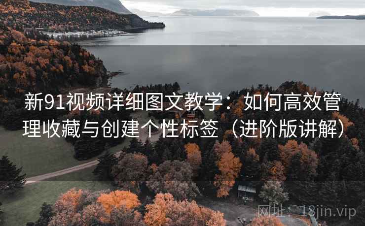 新91视频详细图文教学：如何高效管理收藏与创建个性标签（进阶版讲解）