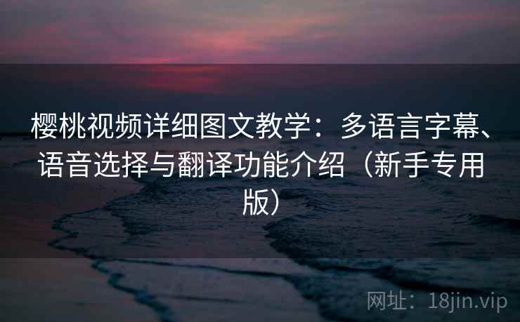 樱桃视频详细图文教学：多语言字幕、语音选择与翻译功能介绍（新手专用版）