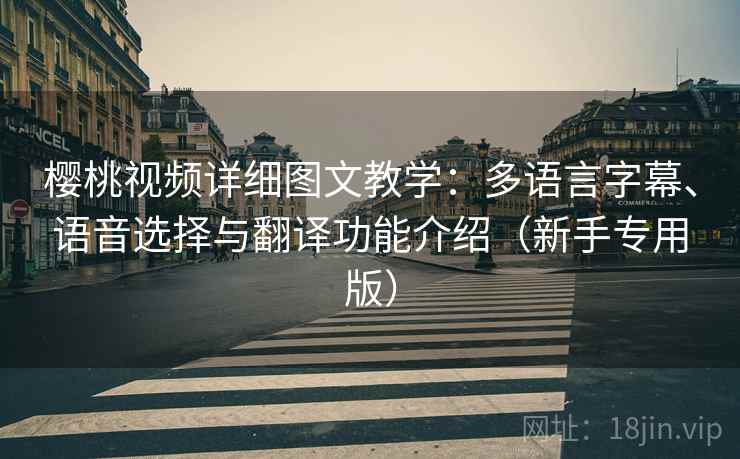 樱桃视频详细图文教学：多语言字幕、语音选择与翻译功能介绍（新手专用版）