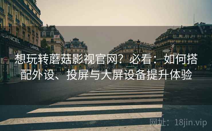 想玩转蘑菇影视官网？必看：如何搭配外设、投屏与大屏设备提升体验
