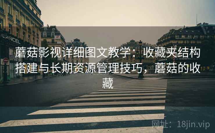 蘑菇影视详细图文教学：收藏夹结构搭建与长期资源管理技巧，蘑菇的收藏